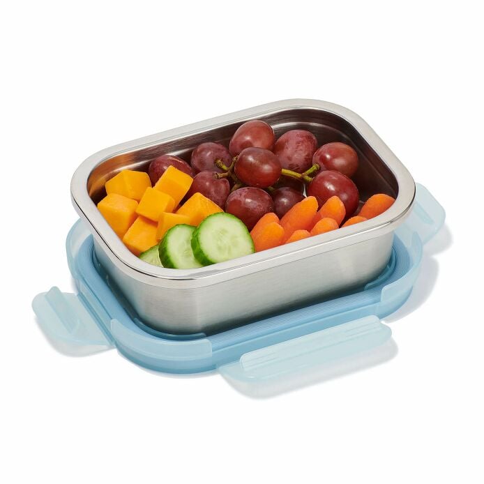 2-c-stainless-steel-food-container-b0 foca417-2-cup-food-container-rain-packed_1_1_1.jpg